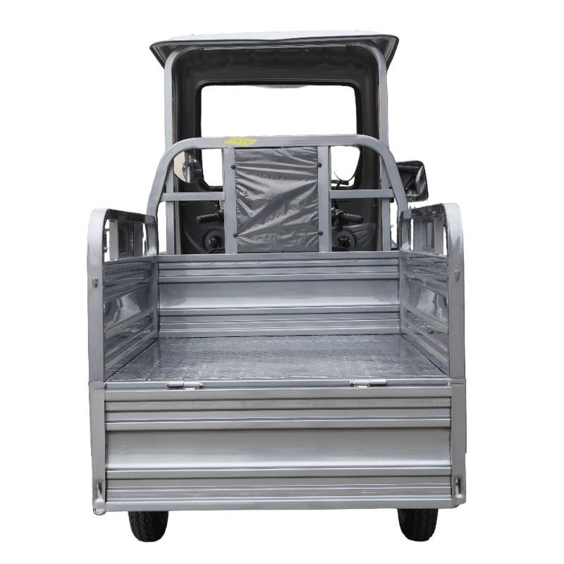 Futura Cargo Cruiser Dach Blei 25|45kmh/1500W GR E-Kabinenroller