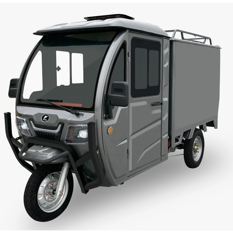 Futura Cargo Cabin Box Blei 25kmh/4000W/58Ah GR E-Kabinenroller
