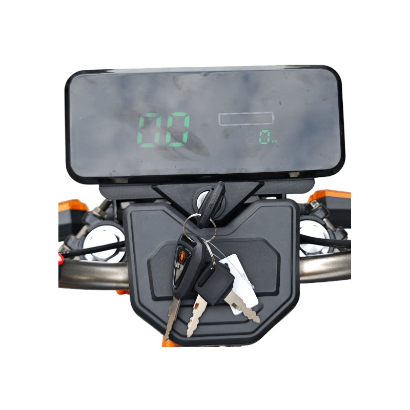 Futura Cargo Cruiser Dach LI Li-Io 25kmh/1500W/60Ah GR E-Roller