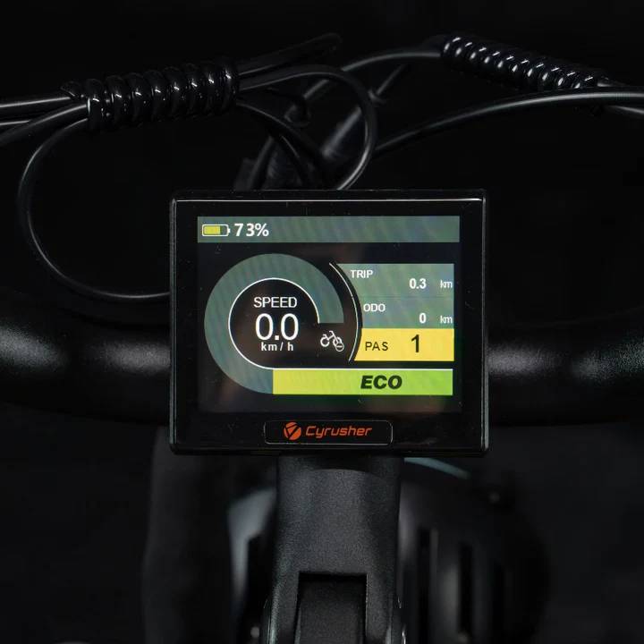 Cyrusher Kommoda 3.0 E-Bike OR 20" 48V/960Wh/150kg 110km Fatbike