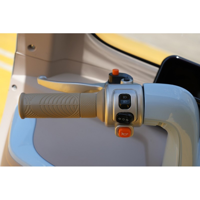 Futura E-Move Blei 45kmh/2000W/45Ah/244kg/70km GR E-Kabinenroller