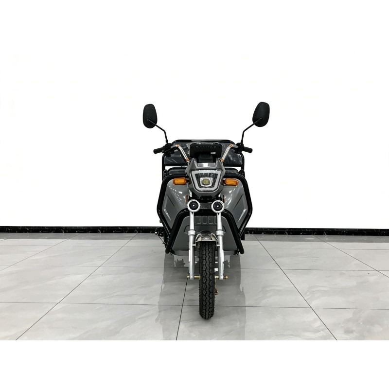 Futura Cargo Plus Blei 25kmh/2540W/20Ah/60km GR E-Kabinenroller