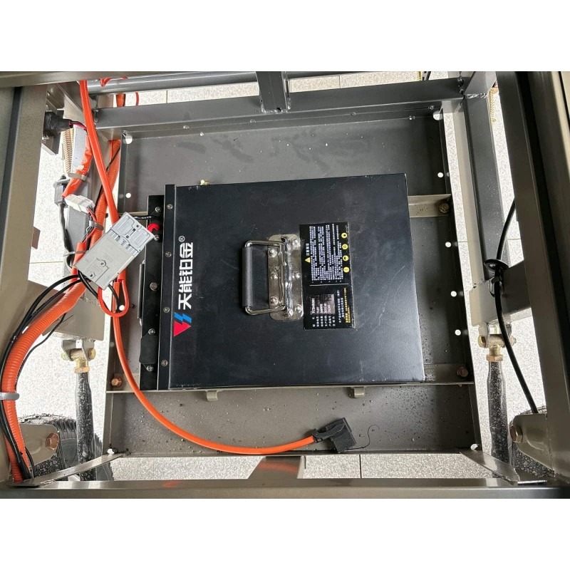 Futura Cargo Cabin Box Blei 25kmh/4000W/58Ah GR E-Kabinenroller