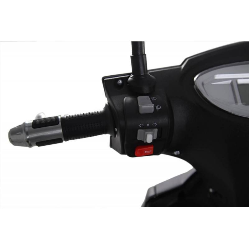 Futura Eagle Blei 45kmh/1600W/60V/20Ah/183kg/60km RT|SW E-Roller