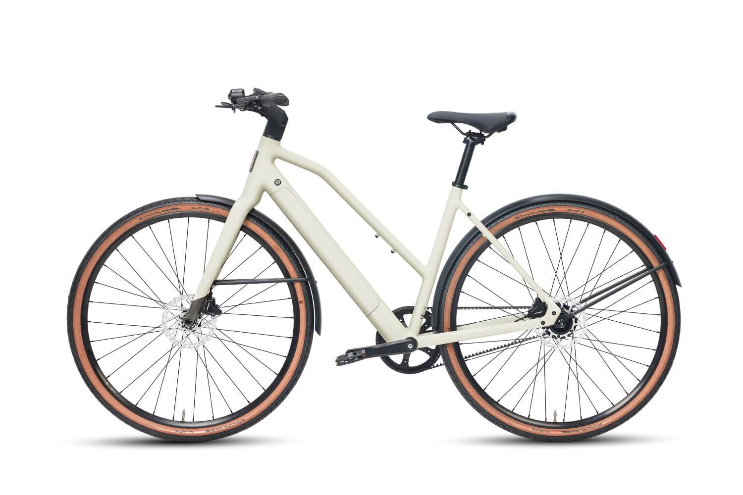 DERUIZ Turmali E-Bike WS 28" 48cm/36V/360Wh/120kg 100km Urban