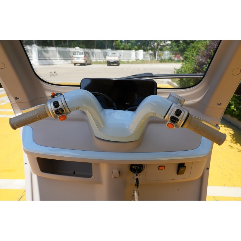 Futura E-Move Blei 45kmh/2000W/45Ah/244kg/70km GR E-Kabinenroller