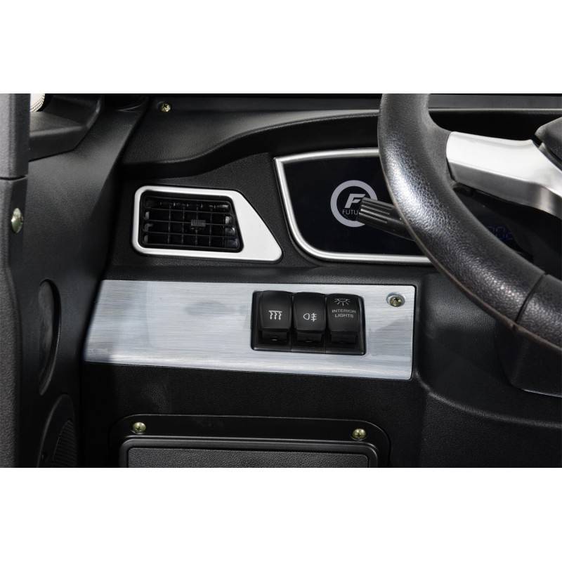 Futura Electron Li 2xAkku 45kmh/2200W/2x60Ah E-Kabinenroller