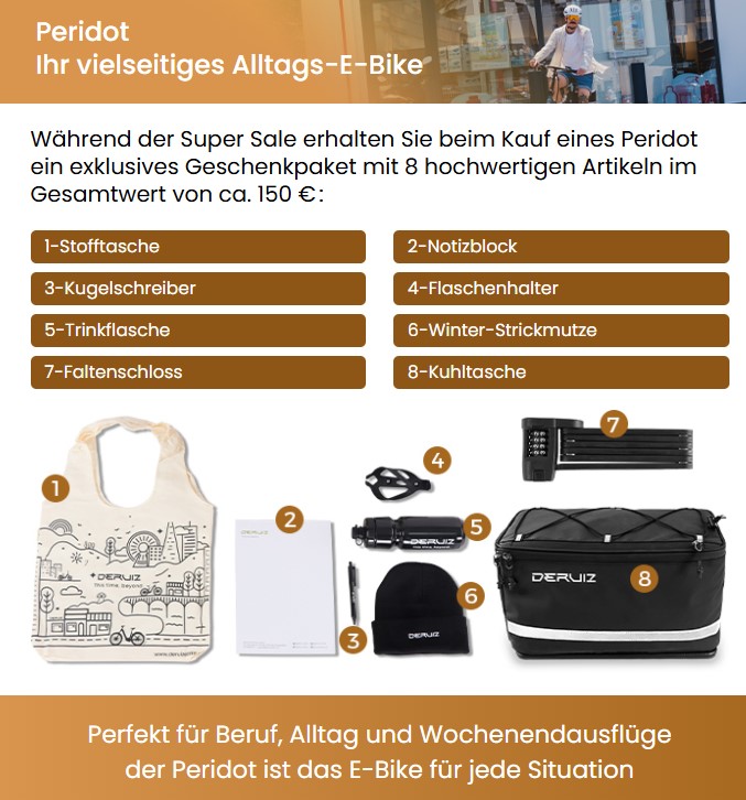 DERUIZ Peridot 2025 E-Bike GR 20" 36cm/500Wh/120kg 120km Klapprad