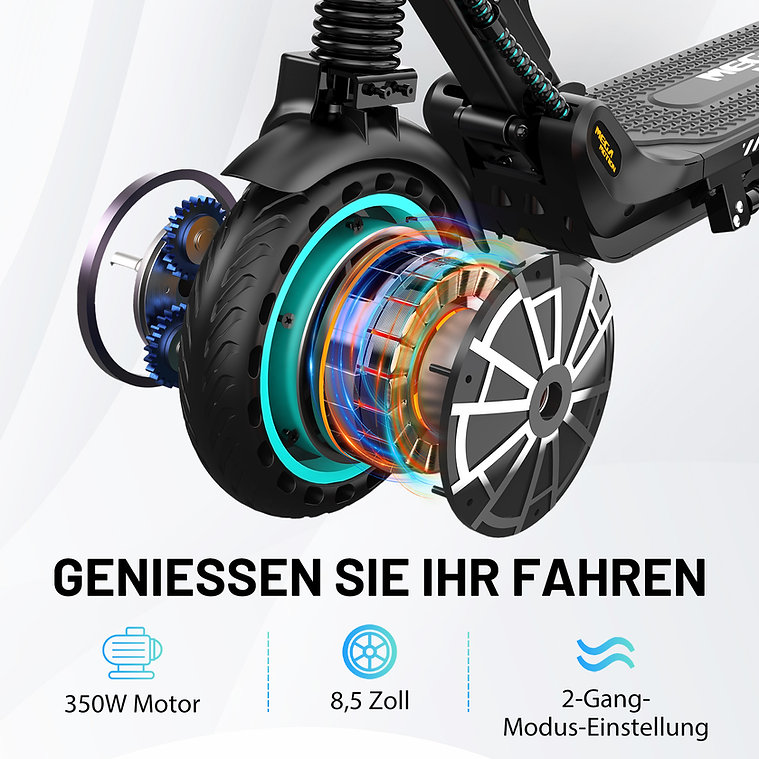 Mega Motion M5-HB15 ABE SW 19kmh 35km 350W 100kg E-Scooter ABE