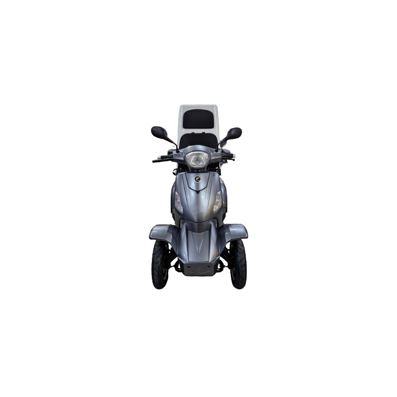 Futura Vita Care 4000 Li Cargo 25kmh/1kW/20-40Ah Seniorenmobil